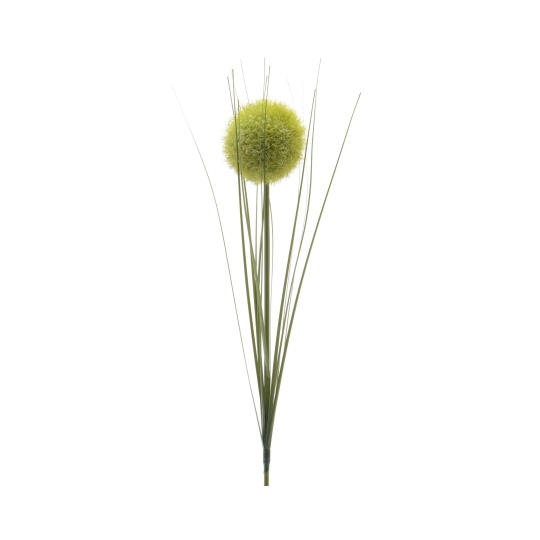 Allium Κλαδί Πράσινο 66cm