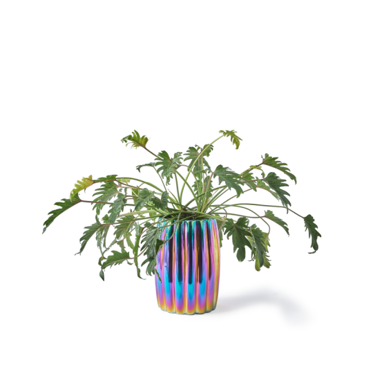 Multi colour Curvy Plant Pot Ceramic Ø32,5xH45cm