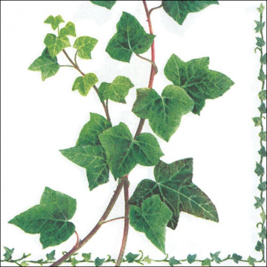 Χαρτοπετσέτα Ivy Flower Plant 33x33cm