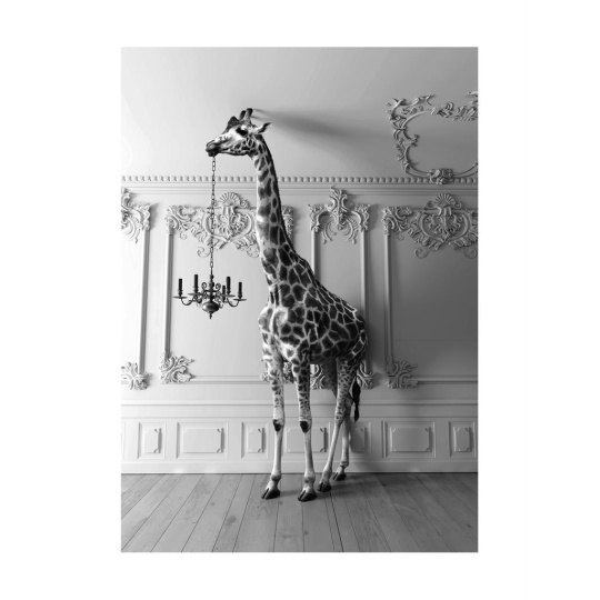 Brookpace Lascelles - Art Print Giraffe In The Room Με Κορνίζα Black Box