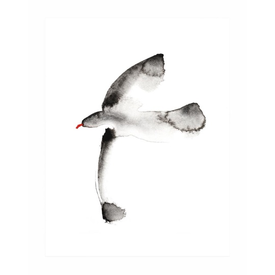 Brookpace Lascelles - Art Print Watercolour Seagull Με Ξύλινη Κορνίζα
