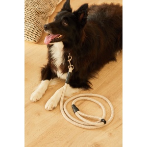 dog-leash-buby-ecru-2